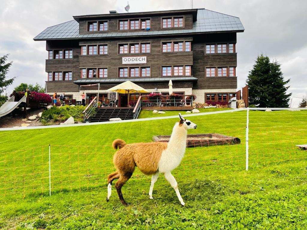 Hotel Oddech Pec pod Sněžkou Extérieur photo