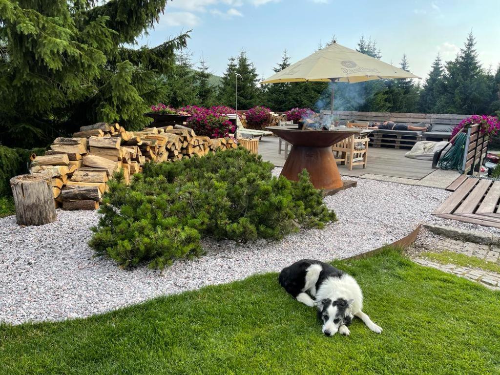 Hotel Oddech Pec pod Sněžkou Extérieur photo