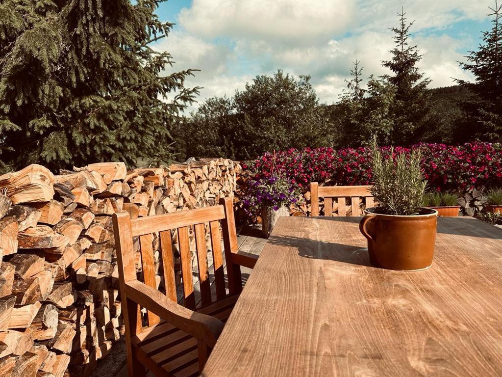 Hotel Oddech Pec pod Sněžkou Extérieur photo